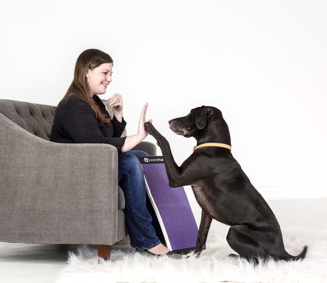 ScratchPad for Dogs